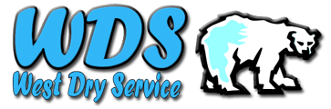 wds_logo